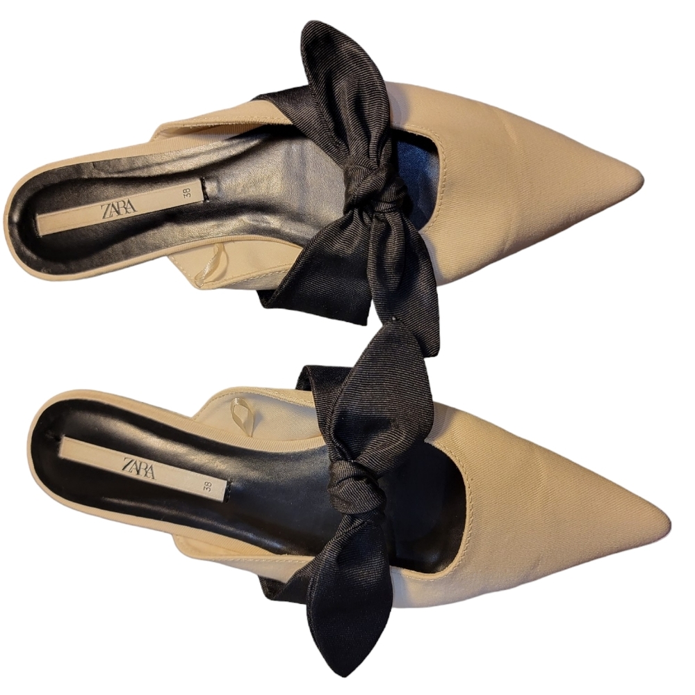 Zara Pointed Toe Bow Flats